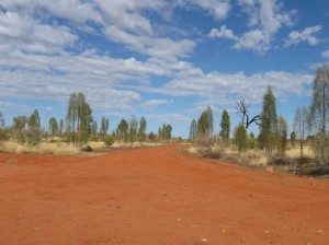 The Outback, yesterday